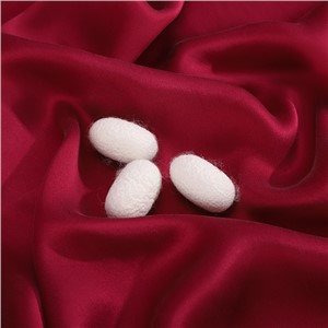 25mm 100% Natural Silk Charmeuse Fabric Solid Dyed
